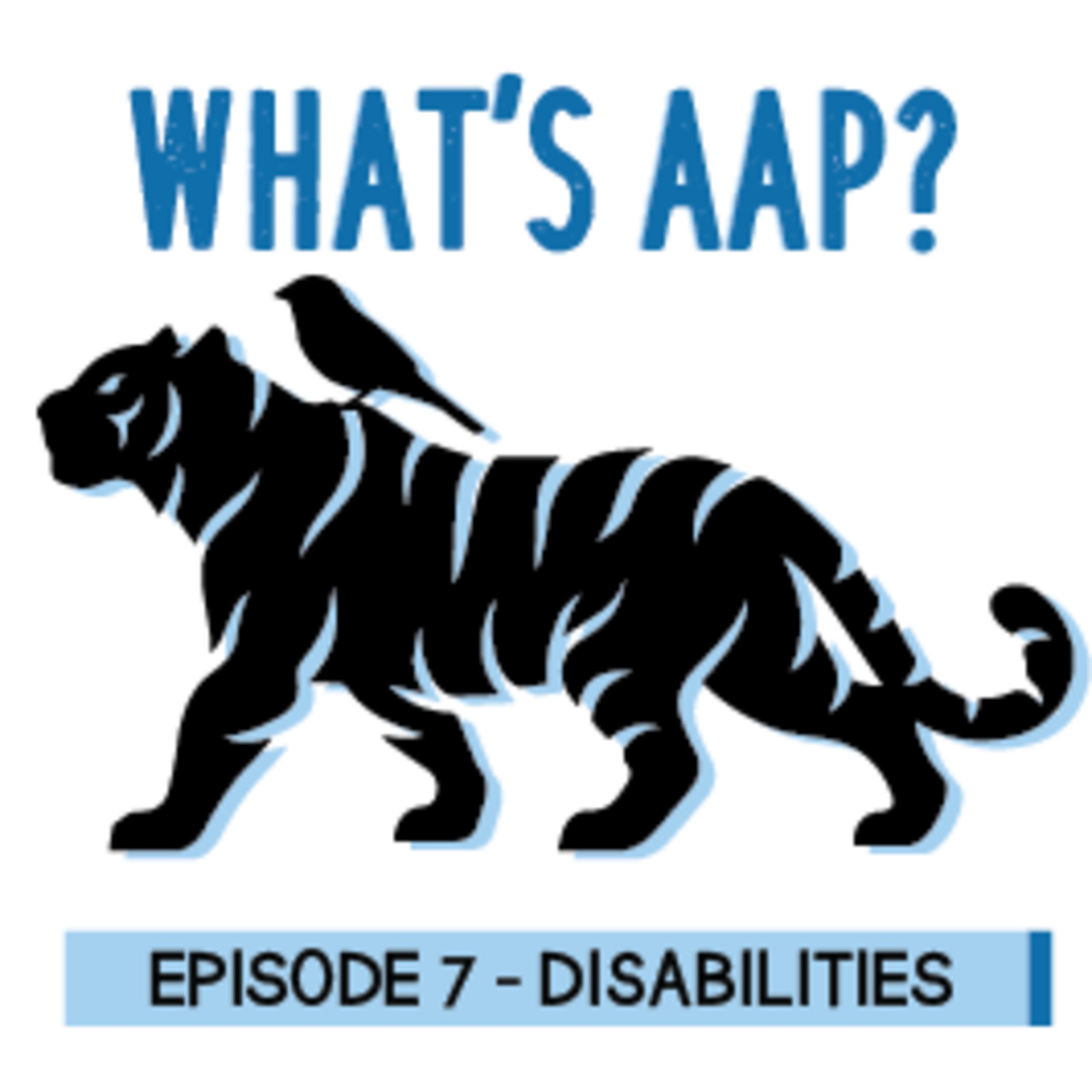 7 What’s AAP, Austin Tam? Disabilities What's AAP?